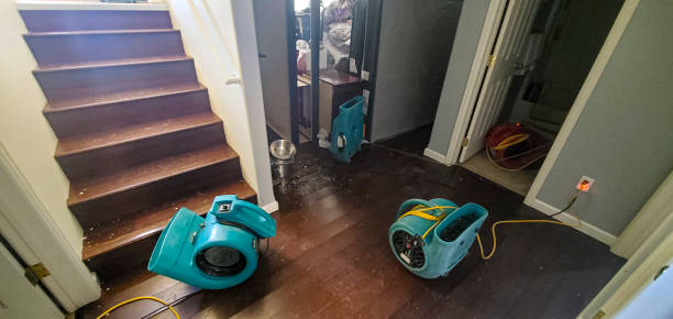 Best Water damage contractors near me  in White Hall, AR