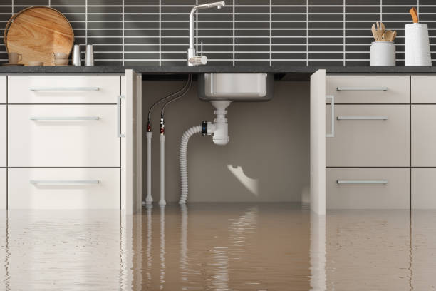 Best Water damage restoration cost  in White Hall, AR