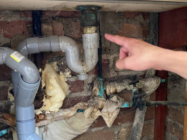 Best Mold removal after water damage  in White Hall, AR